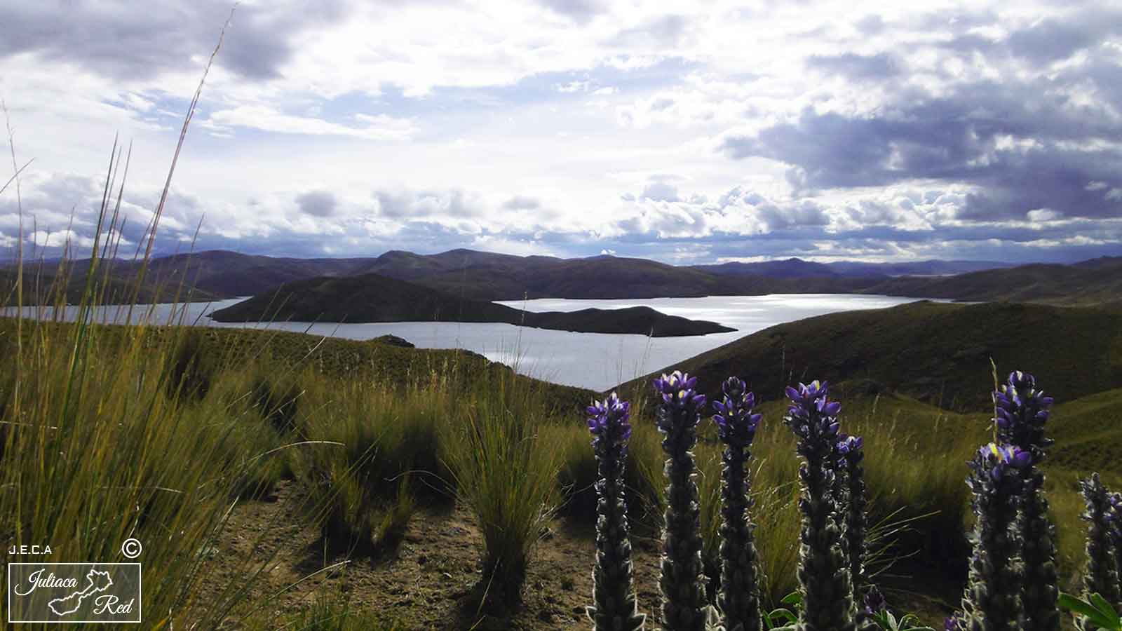 Laguna Saracocha, Cabanillas Juliaca Perú