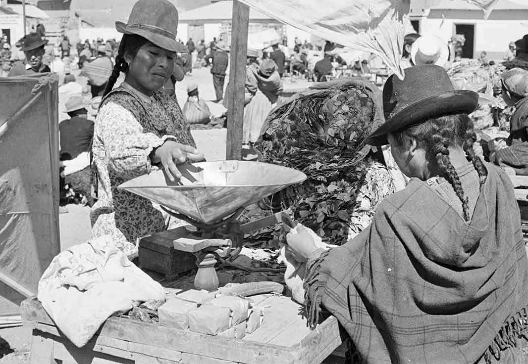 vendedora de hojas de coca en juliaca, año 1954